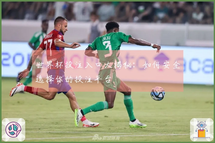 世界杯投注入口大揭秘：如何安全选择你的投注平台