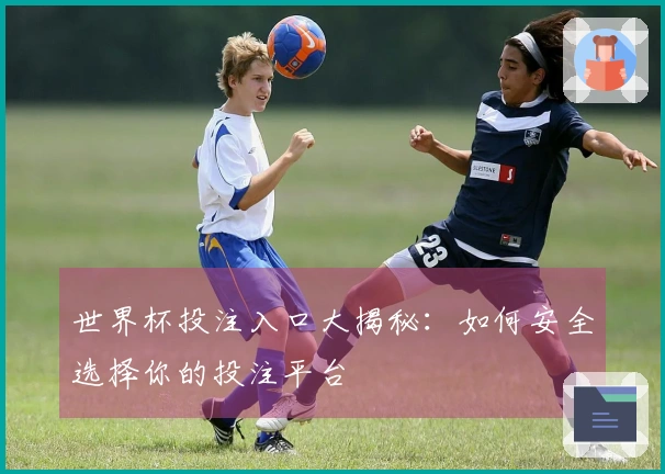 世界杯投注入口大揭秘：如何安全选择你的投注平台
