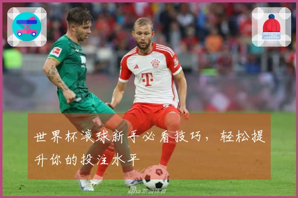 世界杯滚球新手必看技巧，轻松提升你的投注水平